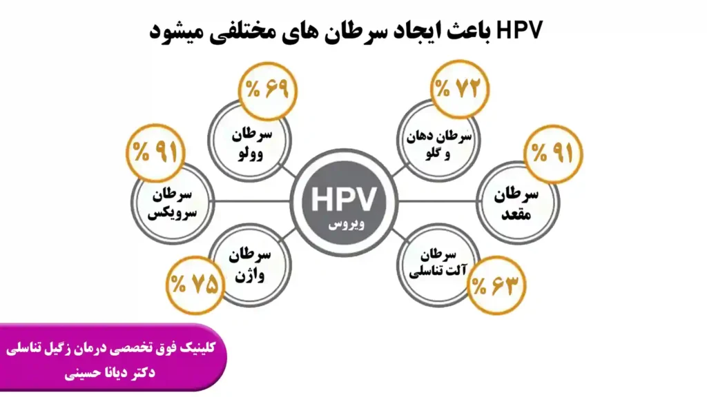 درصد انواع سرطان ناشی از HPV - بهترین پزشک زگیل تناسلی مشهد