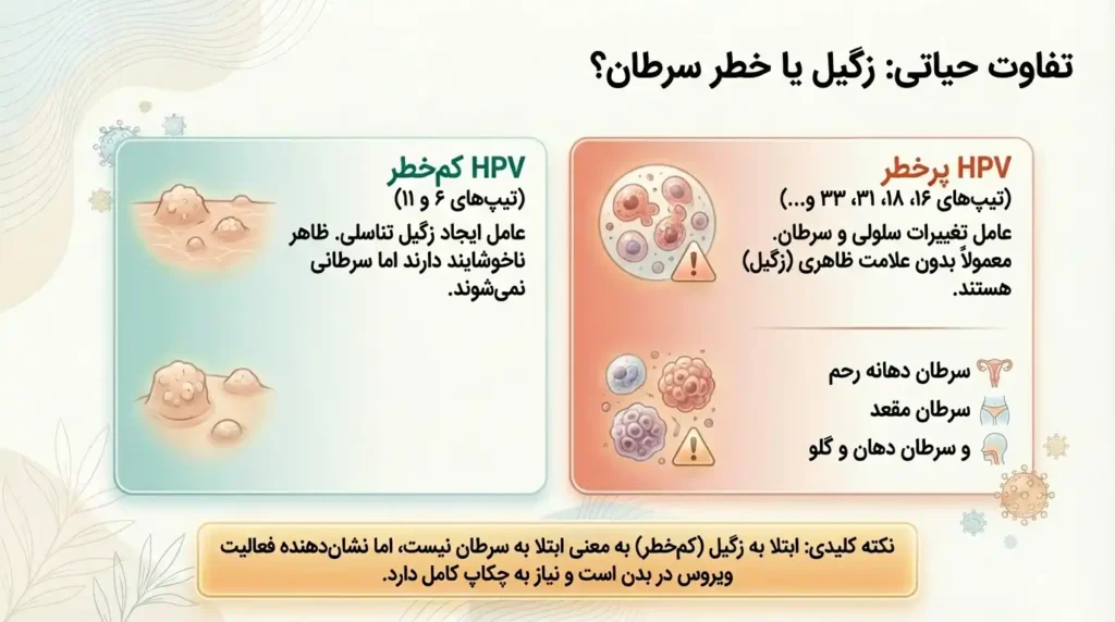 ارتباط زگیل تناسلی و احتمال ابتلا به سرطان