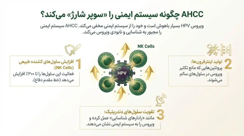 ای اچ سی سی چگونه سیستم ایمنی را شارژ میکند