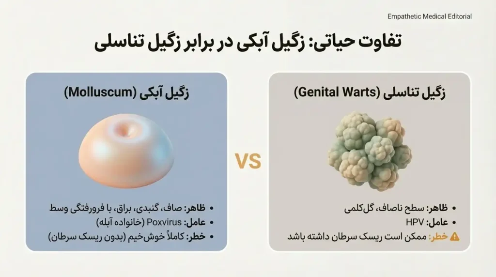 تفاوت زگیل تناسلی با مولوسکوم و زگیل آبکی