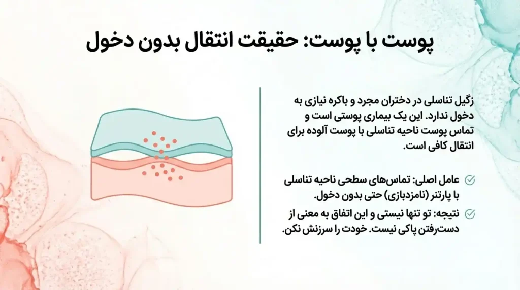 تماس پوست با پوست برای انتقال اچ پی وی و زگیل تناسلی میتواند کافی باشد