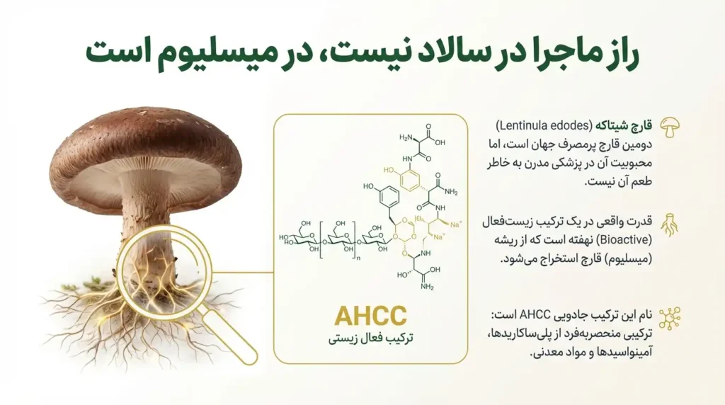 راز اثرگذاری شیتاکه در درمان زگیل تناسلی