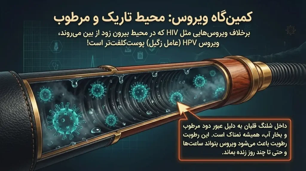محیط تاریک و مرطوب شلنگ قلیان کمینگاه ویروس اچ پی وی