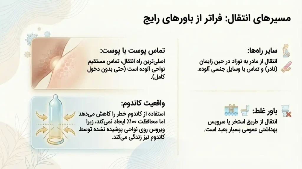 مسیرهای انتقال اچ پی وی و زگیل تناسلس