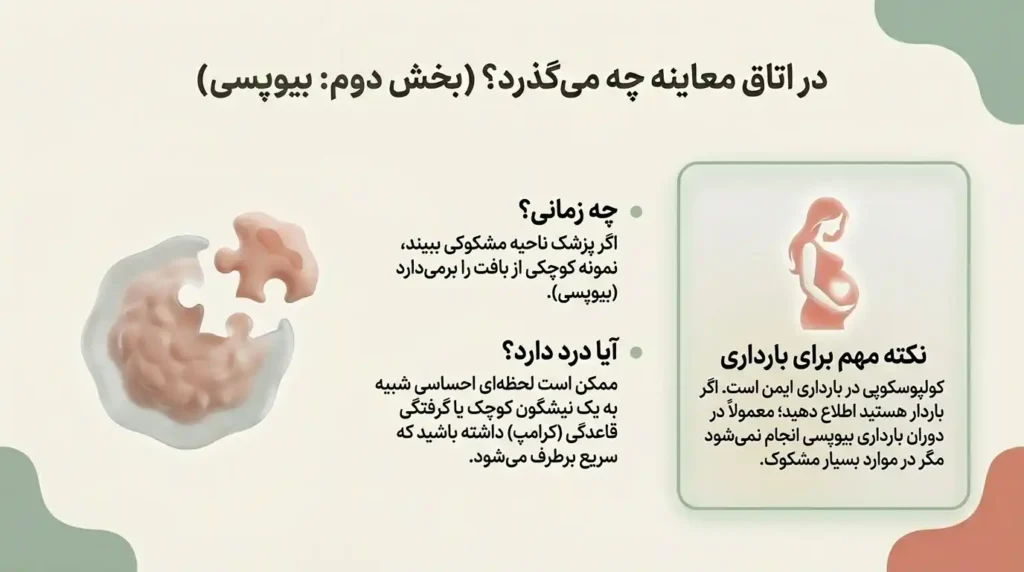 نمونه گیری در کلپوسکوپی
