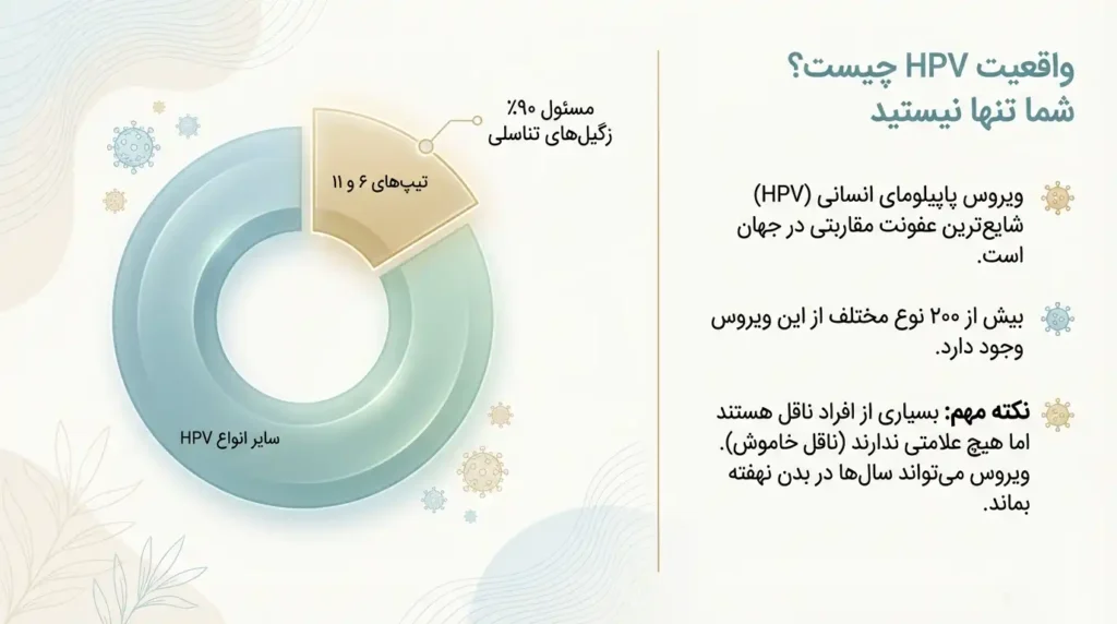 واقعیاتی در مورد اچ پی وی