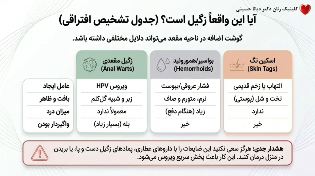 تشخیص زائده های مختلف ناحیه مقعد با زگیل تناسلی
