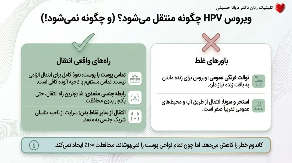 ویروس اچ پی وی در زگیل مقعدی چگونه منتقل میشود؟