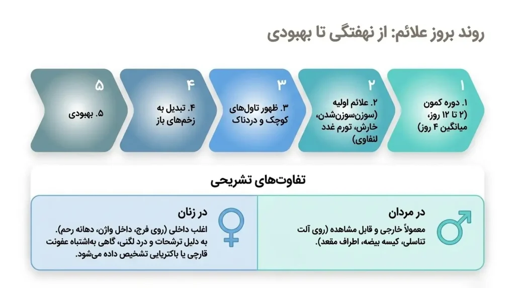 روند کامل و دقیق بروز علائم تبخال تناسلی