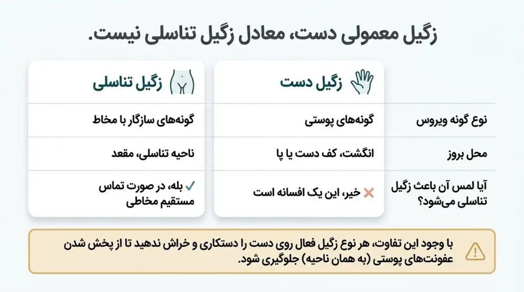 آیا زگیل معمولی دست معادل همان زگیل تناسلی است؟