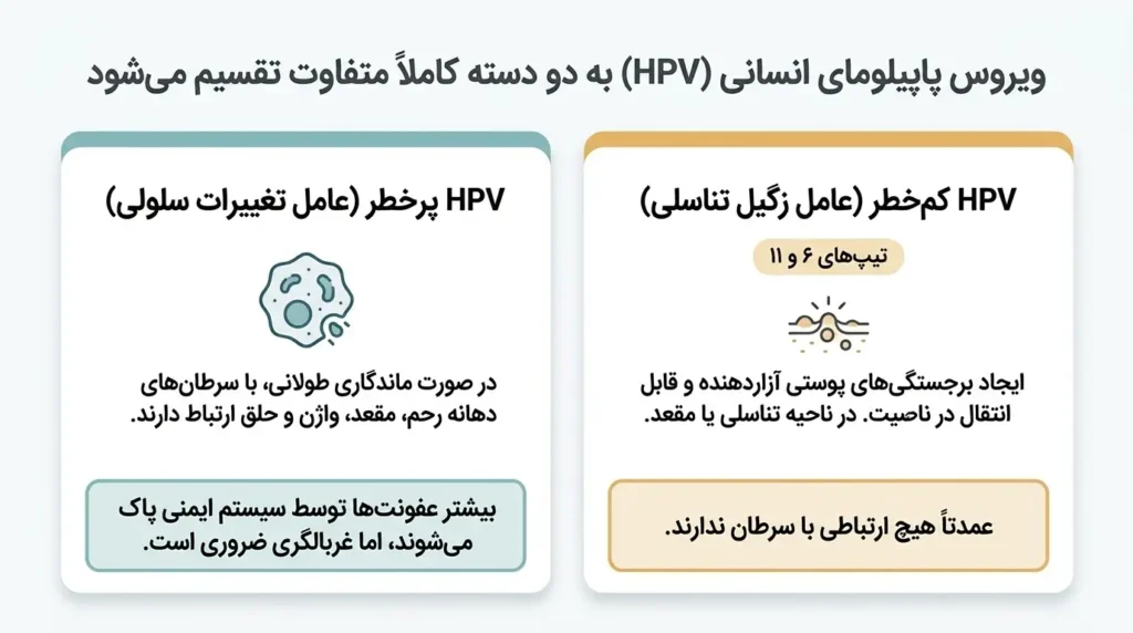 انواع ویروس پاپیلومای انسانی و نقش آنها در ایجاد زگیل تناسلی