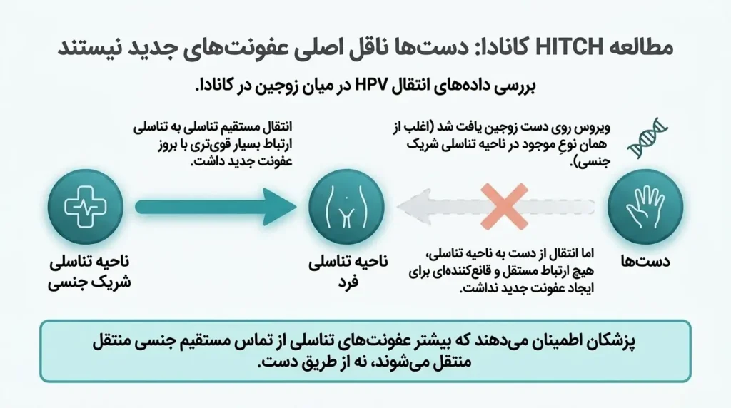 مطالعات علمی در زمینه انتقال زگیل تناسلی از دست